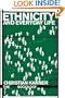 Ethnicity and Everyday Life (The New Sociology)