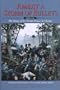 Amidst a Storm of Bullets: The Diary of Lt. Henry Prince in Florida, 1836-1842 (Contribution (Seminole Wars Historic Foundation), No. 1.)