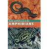 Guide and Reference to the Amphibians of Western North America (North of Mexico) and Hawaii