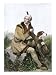 All Products : <h2>Daniel Boone, Pioneer of Kentucky, with His Rifle and Dog Giclee Poster Print, 12x16</h2>
