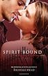 Spirit Bound (Vampire Academy, Book 5)