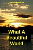 What A Beautiful World