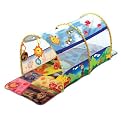 Baby Einstein Tunnel
