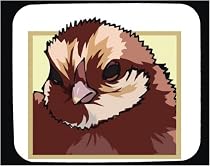 Mouse Pad with animals, wildlife, chicken, animal, farm