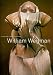 William Wegman : Fashion Photographs