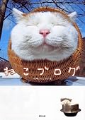かわいいのはかわいいのですが、その先が感じられない。。プロが作品として撮るものとそうでないものにはやはり何かが違いますね。