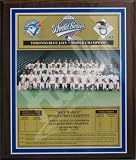 1993 Toronto Blue Jays Major League Baseball World Series Championship 11x13 Plaque