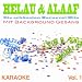 Du bes die Stadt (Premium Karaoke Version mit Background Gesang) (Originally Performed By Bläck Fööss)