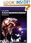 Human Neuropsychology