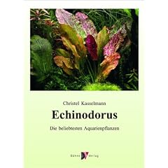 Echinodorus: Die beliebtesten Aquarienpflanzen