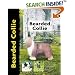 Bearded Collie (Pet Love)