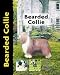 Bearded Collie (Pet love)