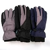 Mens Thermolite (TM) Waterproof Ski Glove