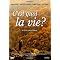 Mes p'tits bonheurs de films 1