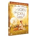 Le voeu de Joey