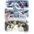 Bolton Wanderers - Season Review 2003/2004 [DVD]