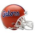 Riddell Florida Gators Replica Mini Helmet