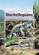 Stachelleguane: Lebensweise - Pflege - Zucht