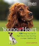 Young at Heart: 120 Things You Can Do Right Now to Give Your Older Dog a Longer, Healthier Life