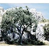 Shade Tree Kit, 4"