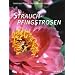 Strauchpfingstrosen