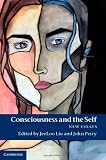 Consciousness and the Self: New Essays