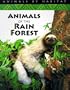Animals of the Rain Forest