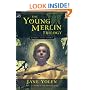 The Young Merlin Trilogy: Passager, Hobby, and Merlin