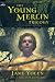 The Young Merlin Trilogy: Passager, Hobby, and Merlin