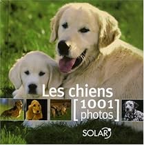 Les chiens : 1001 Photos