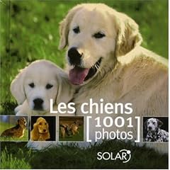 Les chiens : 1001 Photos