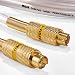RCA DT6S Digital S-Video Cable (6 FT)