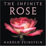The Infinite Rose