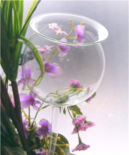 Tolle Pflanzensitter: Durstkugel & Gießblume groß