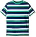 Gymboree Boys' Striped Tee