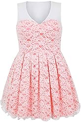 Plus Size Sleeveless Mesh Lace Floral Print Elastane/Polyester Skater Dress/Prom Dress 
