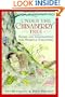 Under the Chinaberry Tree: Books and Inspirations for Mindful Parenting