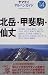 北岳・甲斐駒・仙丈 (アルペンガイド)