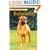 Pet Owner's Guide to the Bullmastiff