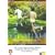 The Idiots [1999] [DVD]