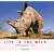 Life in the Wild: A Photographer's Year