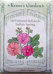 Hollyhocks Indian Spring Heirloom Seeds 100 Seeds
