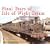 The Final Years of Isle of Wight Steam