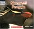 Macaroni Penguin (Welcome Books)
