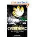 Evermore 3 - Das Schattenland: Roman