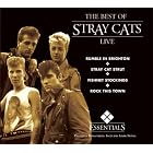 Stray Cats - Live by Stray Cats