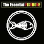 Essential Fishbone