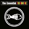Essential Fishbone