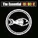 Essential Fishbone