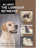 All About the Labrador Retriever